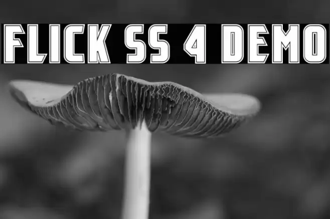 Flick SS 4 Demo フォント examples