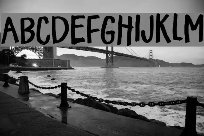 FlickerDEMO Font examples