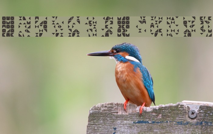 FlickerRandom Font examples
