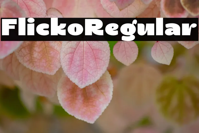 Flicko Regular Example 1