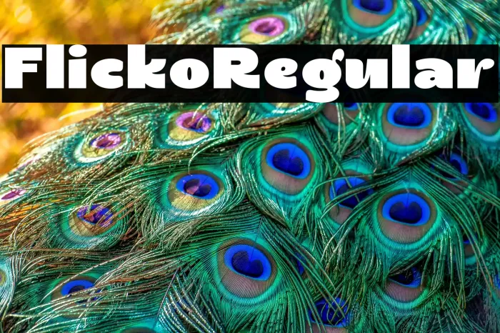 Flicko Regular Example 2