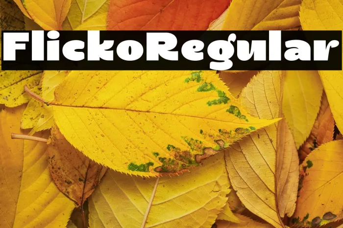 Flicko Regular Example 3