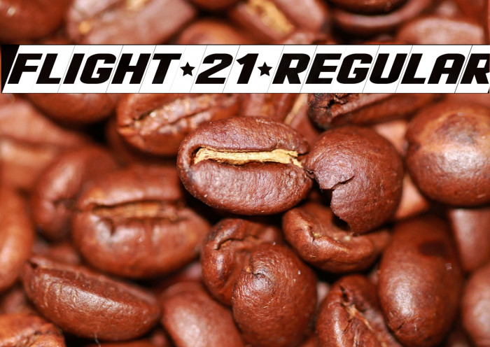 Flight 21 Regular Example 1