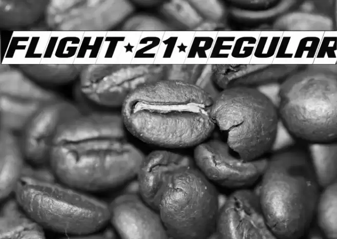 Flight 21 Regular Font examples