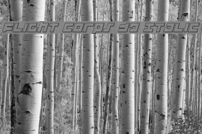 Flight Corps 3D Italic Шрифта examples