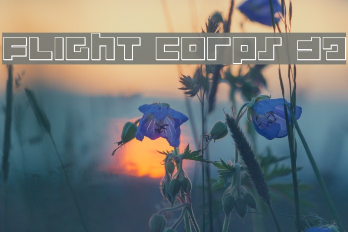 Flight Corps 3D Font examples