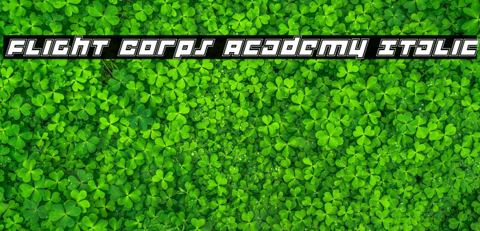 Flight Corps Academy Italic Example 2