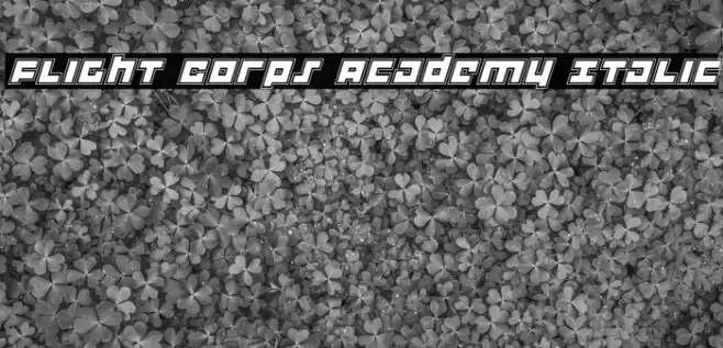Flight Corps Academy Italic Font examples