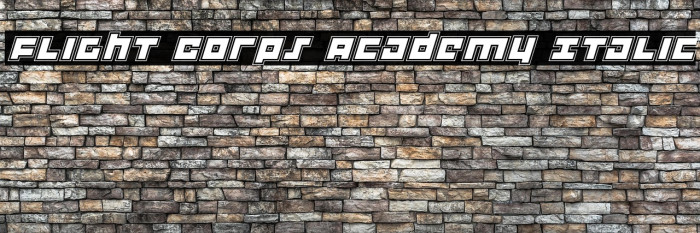 Flight Corps Academy Italic Example 3