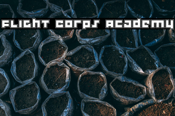 Flight Corps Academy Example 1