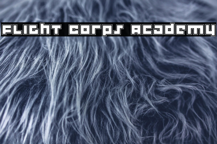 Flight Corps Academy Example 2