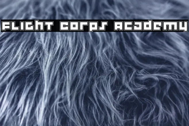 Flight Corps Academy Example 2