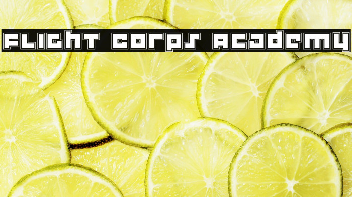 Flight Corps Academy Example 3