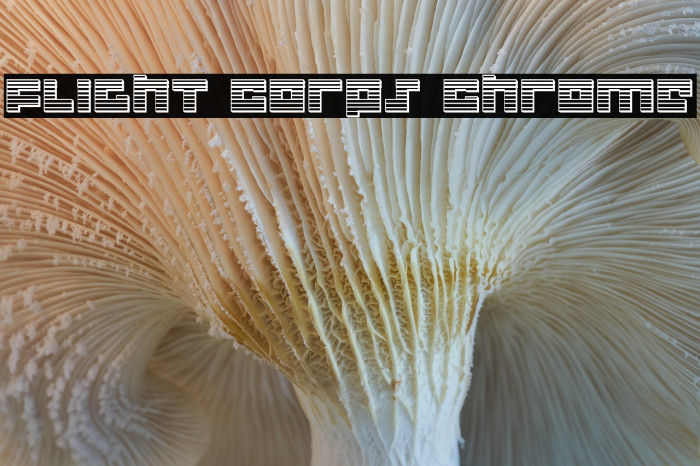 Flight Corps Chrome Example 3