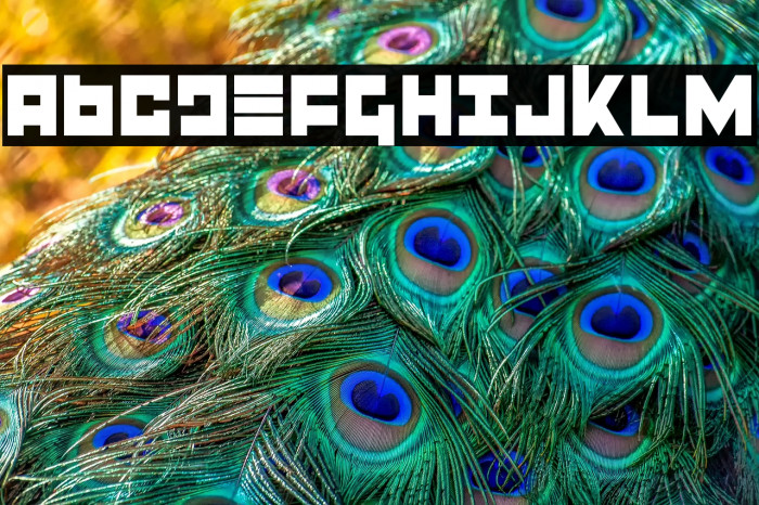 Flight Corps Condensed Example 2