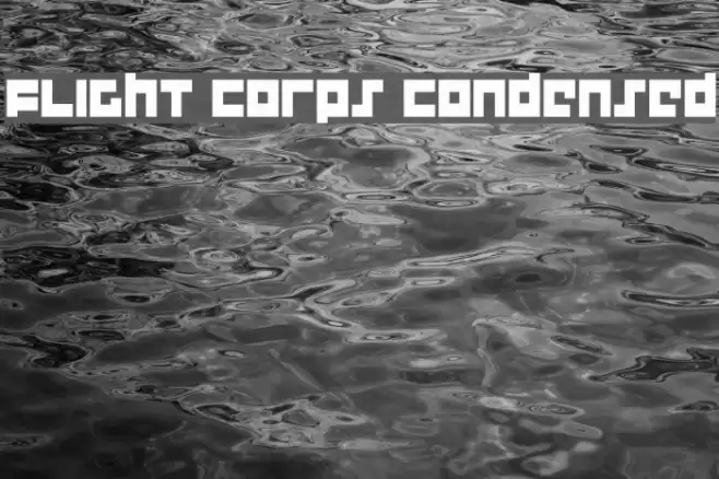 Flight Corps Condensed Fuentes examples