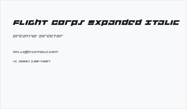 Flight Corps Expanded Italic Business Card