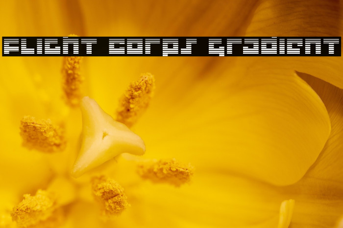 Flight Corps Gradient Example 1