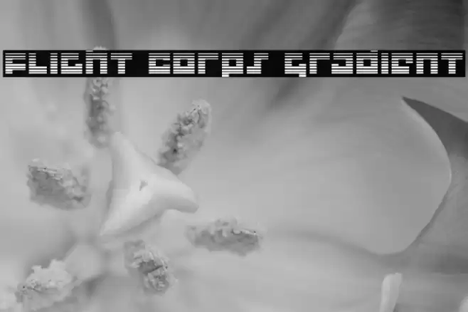 Flight Corps Gradient Font examples