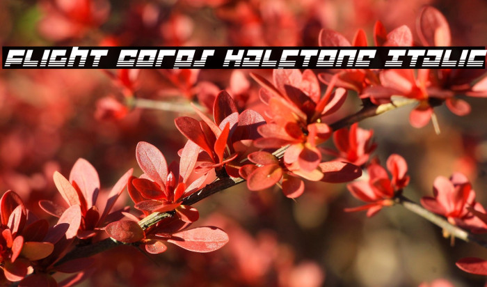 Flight Corps Halftone Italic Example 3