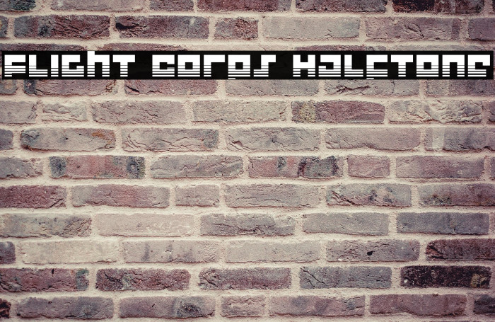Flight Corps Halftone Example 2