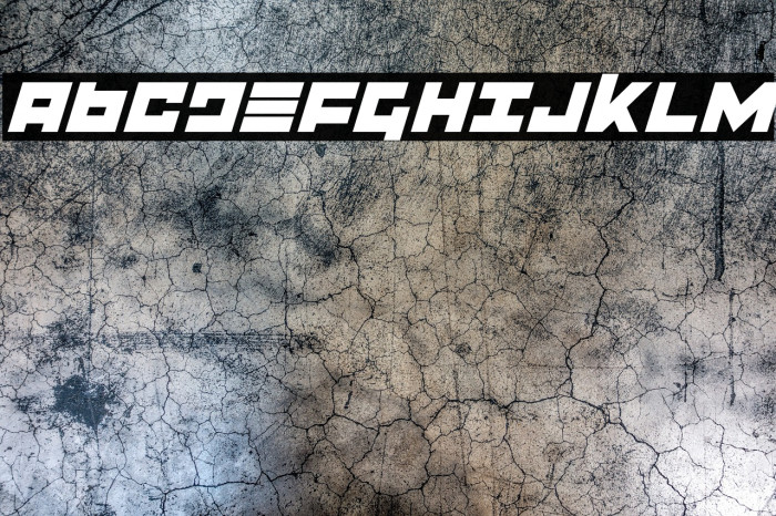 Flight Corps Italic Example 1