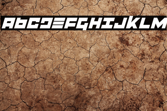 Flight Corps Italic Example 3