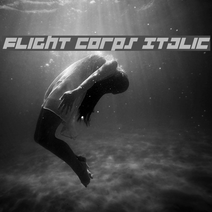 Flight Corps Italic Fuentes examples