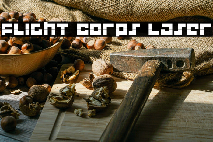 Flight Corps Laser Example 1