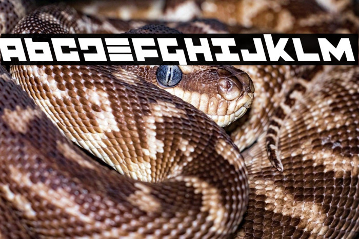 Flight Corps Leftalic Example 1