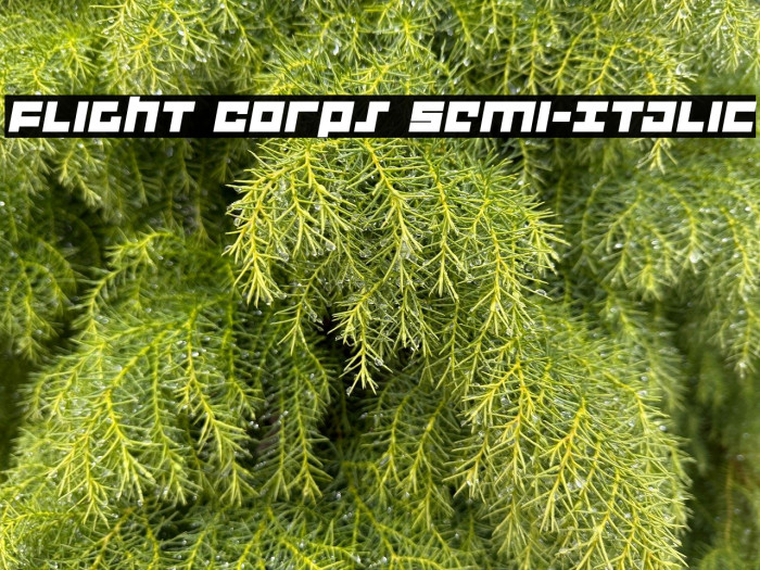 Flight Corps Semi-Italic Example 1