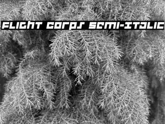 Flight Corps Semi-Italic Font examples