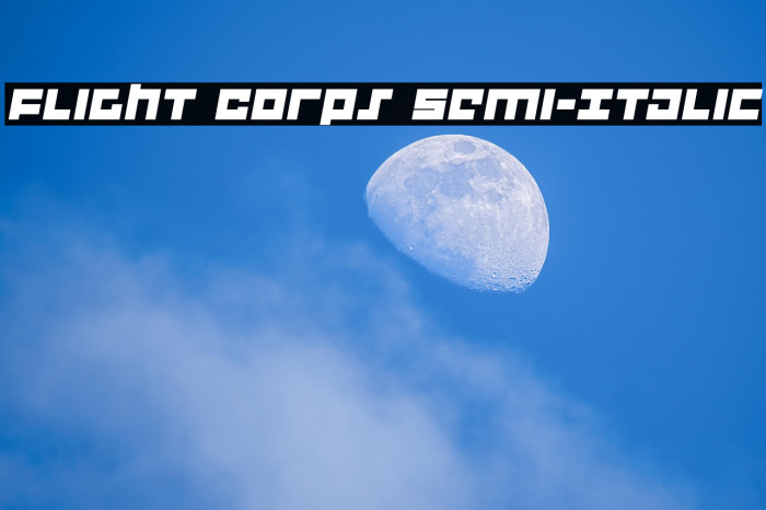 Flight Corps Semi-Italic Example 3
