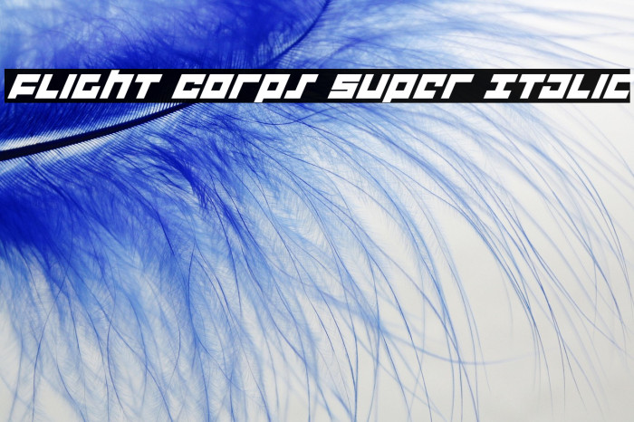 Flight Corps Super Italic Example 1