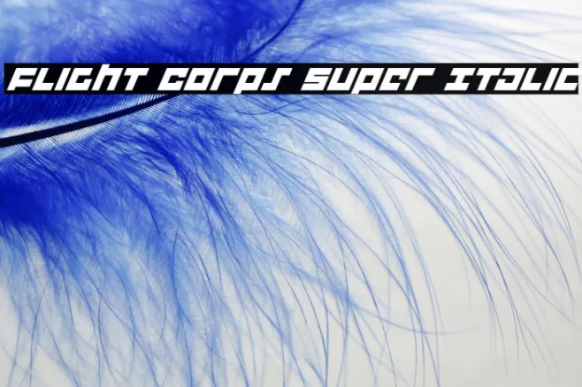 Flight Corps Super Italic Example 1