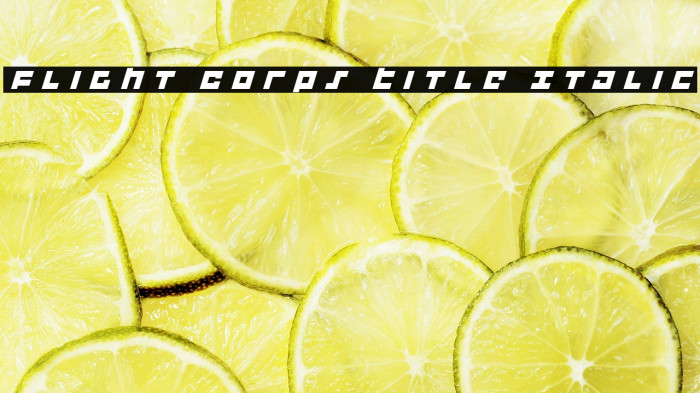 Flight Corps Title Italic Example 1