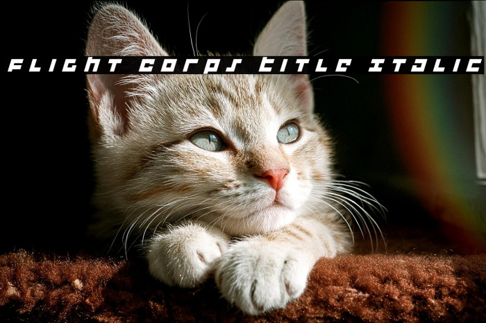 Flight Corps Title Italic Example 2