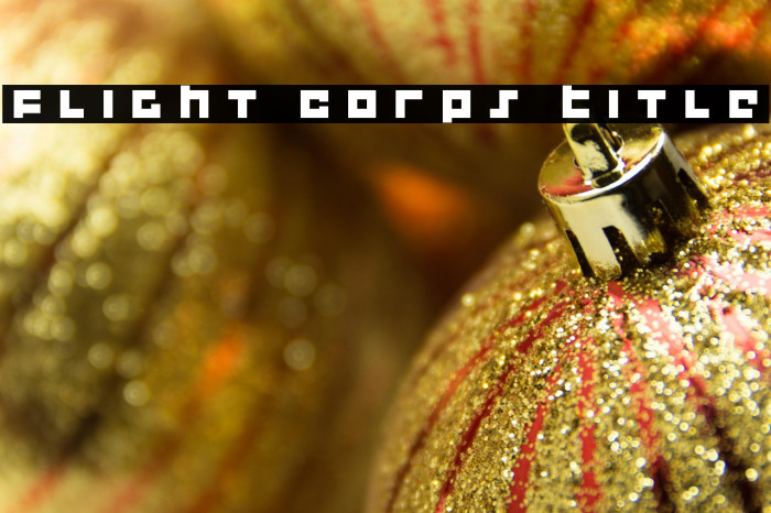 Flight Corps Title Example 1