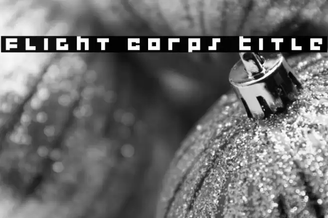 Flight Corps Title Font examples