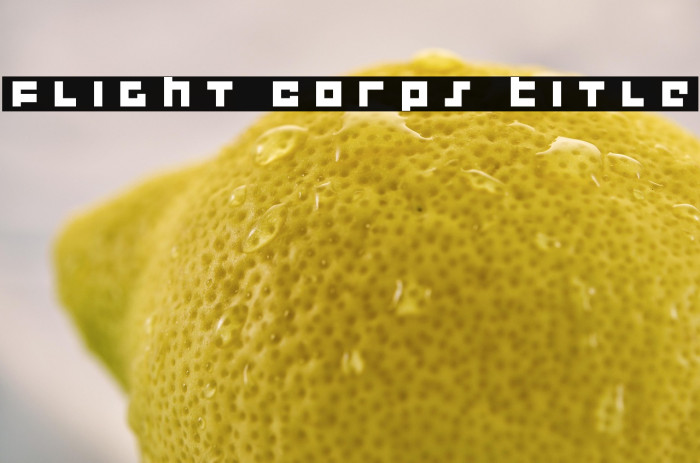 Flight Corps Title Example 3