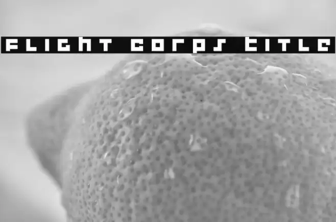 Flight Corps Title Font examples