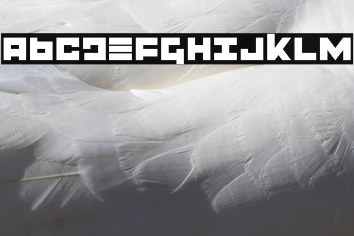 Flight Corps Example 3