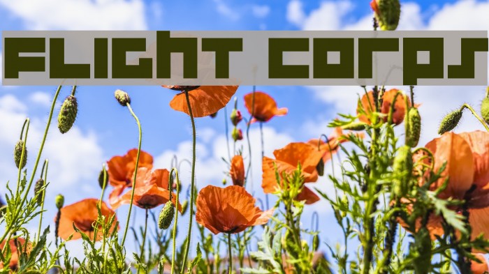 Flight Corps Font examples