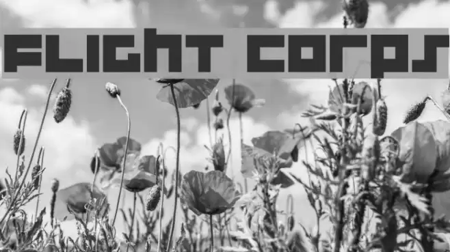 Flight Corps Шрифта examples