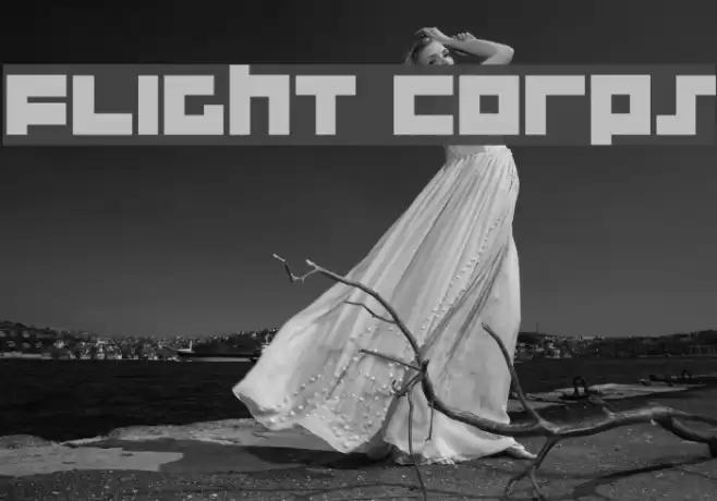 Flight Corps Шрифта examples