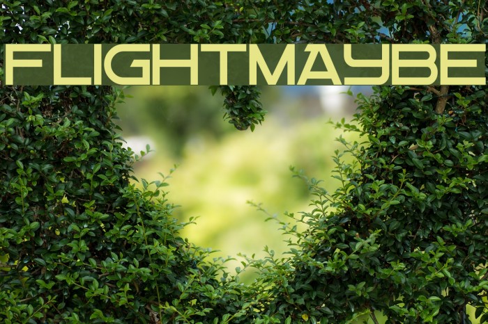 Flight Maybe Font examples