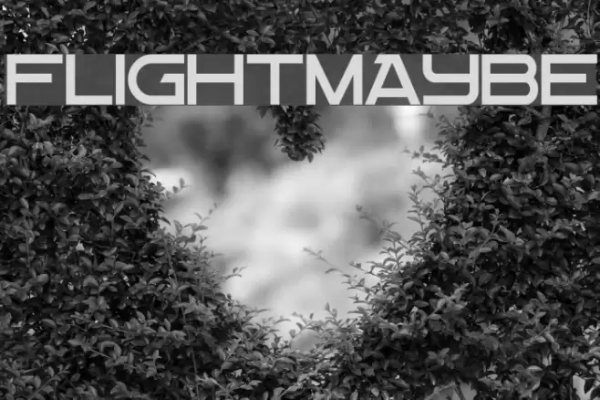Flight Maybe Font examples
