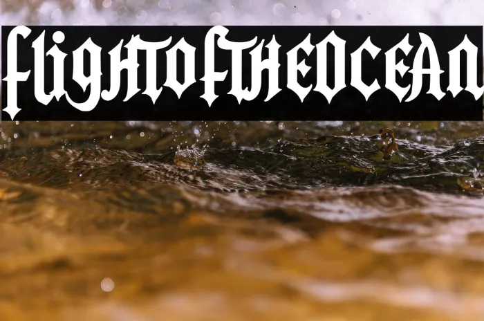 Flight of the Ocean Example 3