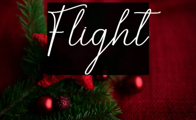 Flight Example 1