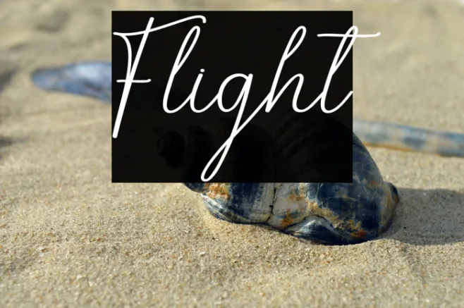 Flight Example 2